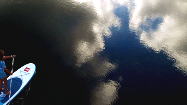 Premium Luxury Brand Film - rower on lake gif