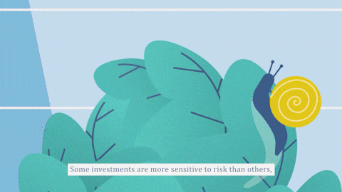 Brooks Macdonald - Explainer videos on diversification delivery