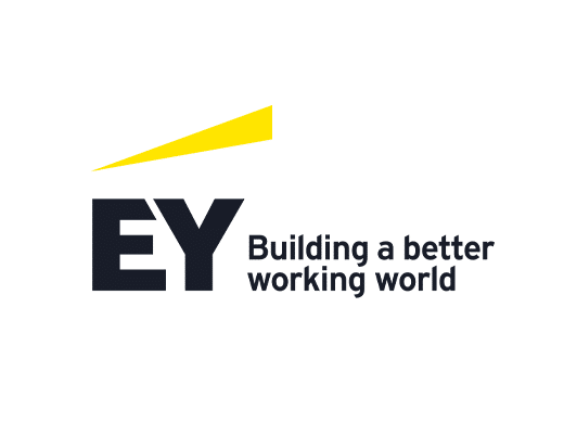 ey colour logo