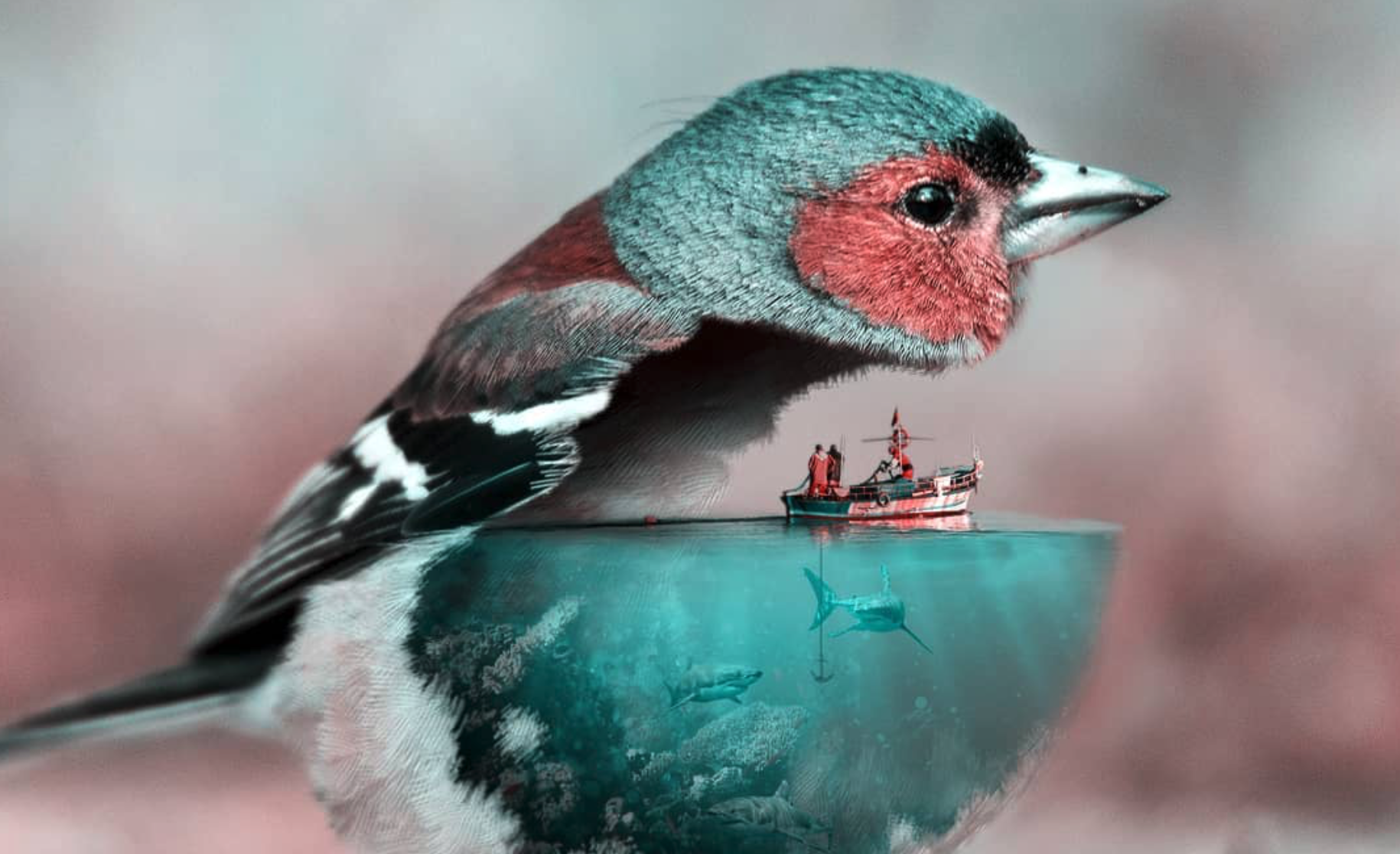 Surreal Wildlife // Julien Tabet // Digital Artist