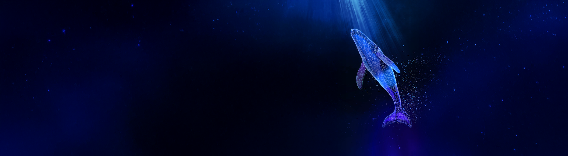 whale header case study